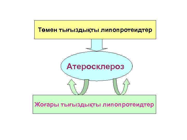 Төмен тығыздықты липопротеидтер   Атеросклероз  Жоғары тығыздықты липопротеидтер 