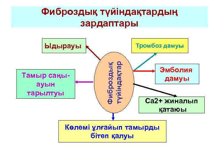   Фиброздық түйіндақтардың  зардаптары  Ыдырауы    Тромбоз дамуы 