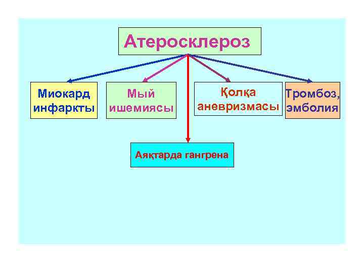   Атеросклероз  Миокард Мый  Қолқа  Тромбоз, инфаркты  ишемиясы аневризмасы
