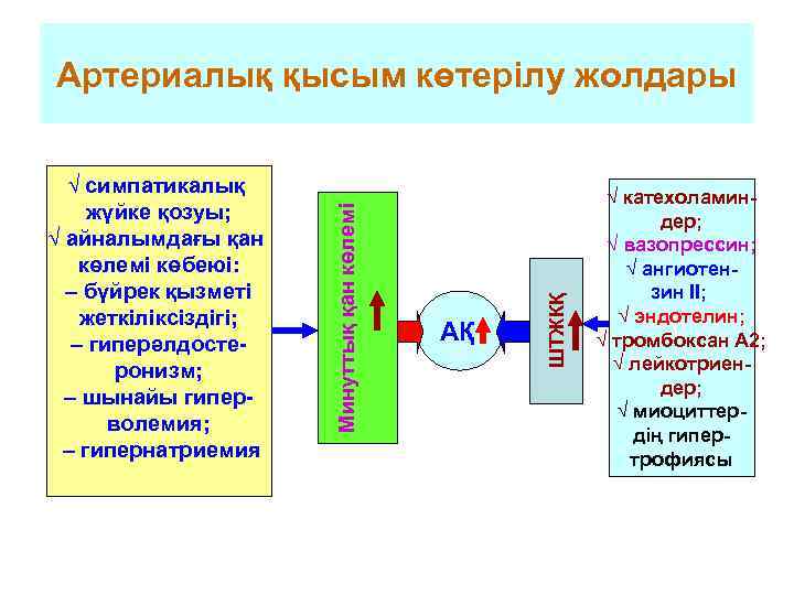 Артериалық қысым көтерілу жолдары √ симпатикалық       √ катехоламин-