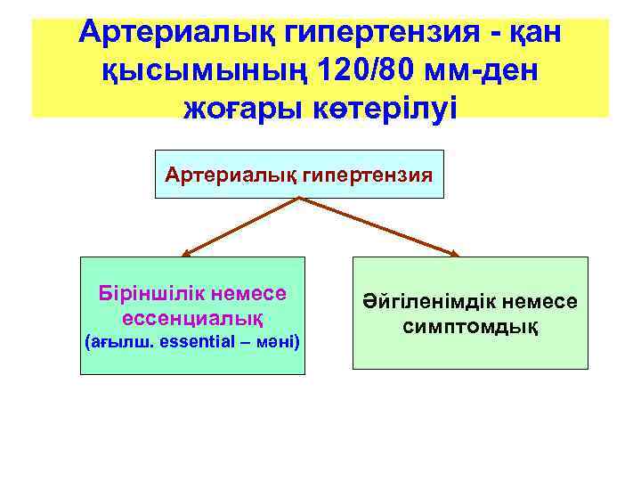 Артериалық гипертензия - қан қысымының 120/80 мм-ден жоғары көтерілуі   Артериалық гипертензия Біріншілік