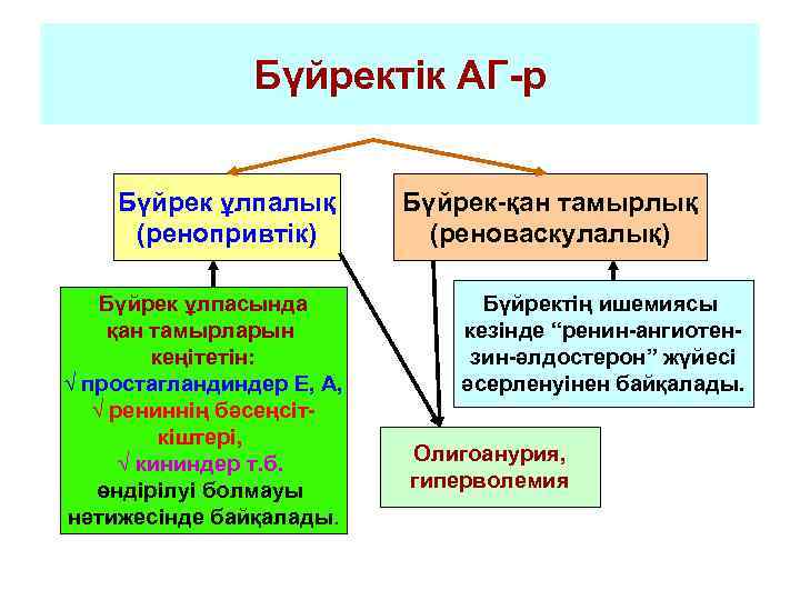     Бүйректік АГ-р  Бүйрек ұлпалық   Бүйрек-қан тамырлық (ренопривтік)