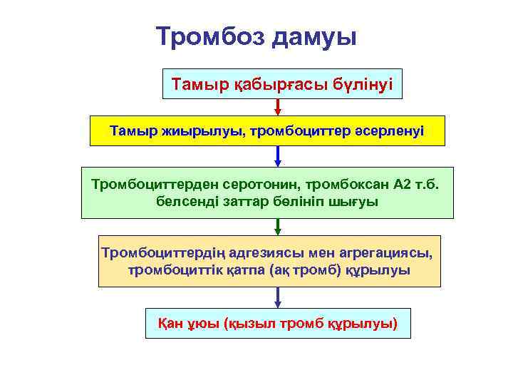   Тромбоз дамуы  Тамыр қабырғасы бүлінуі  Тамыр жиырылуы, тромбоциттер әсерленуі 