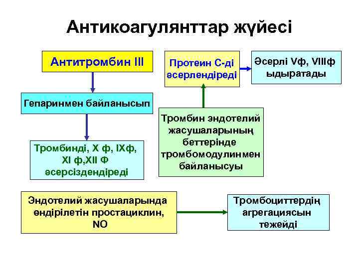   Антикоагулянттар жүйесі Антитромбин III  Протеин С-ді  Әсерлі Vф, VIIIф 
