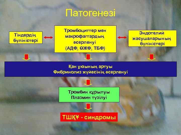    Патогенезі    Тромбоциттер мен Тіндердің    Эндотелий