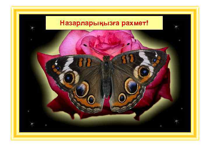 Назарларыңызға рахмет! 