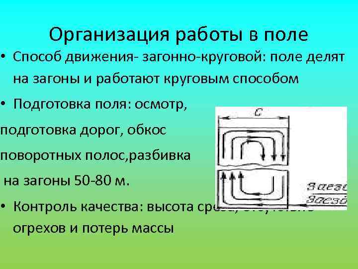   Организация работы в поле • Способ движения- загонно-круговой: поле делят  на