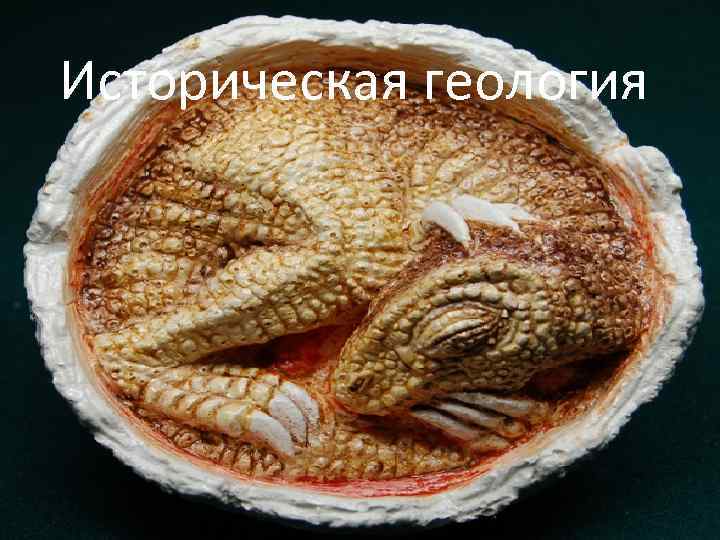 Историческая геология 