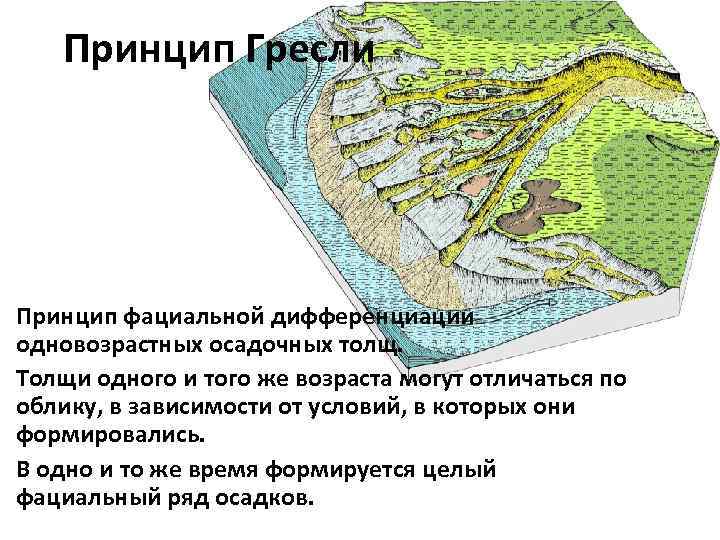 Принцип Гресли Принцип фациальной дифференциации одновозрастных осадочных толщ. Толщи одного и того же возраста