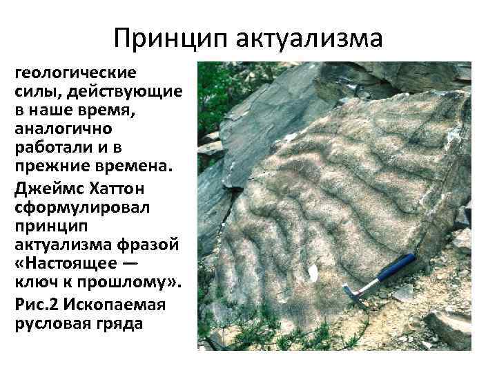 Принцип актуализма геологические силы, действующие в наше время, аналогично работали и в прежние времена.