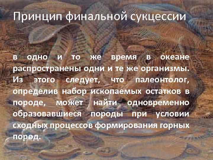 Принцип финальной сукцессии в одно и то же время в океане распространены одни и