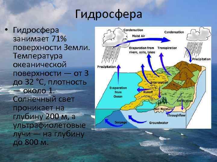 Гидросфера • Гидросфера занимает 71% поверхности Земли. Температура океанической поверхности — от 3 до