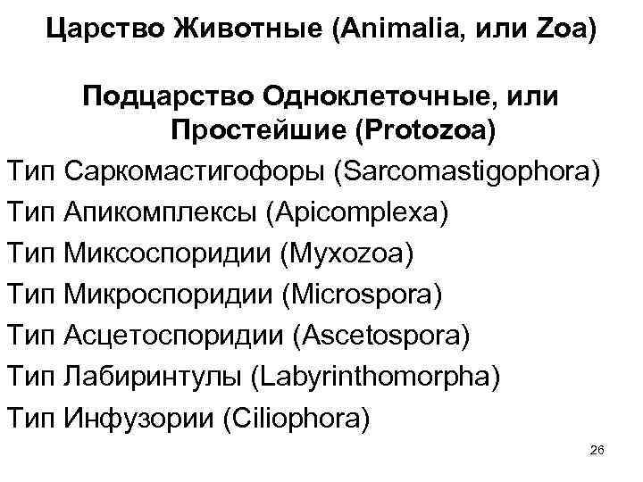  Царство Животные (Animalia, или Zoa)  Подцарство Одноклеточные, или  Простейшие (Protozoa) Тип