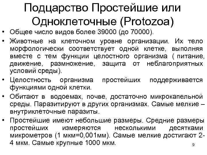  Подцарство Простейшие или  Одноклеточные (Protozoa) • Общее число видов более 39000 (до