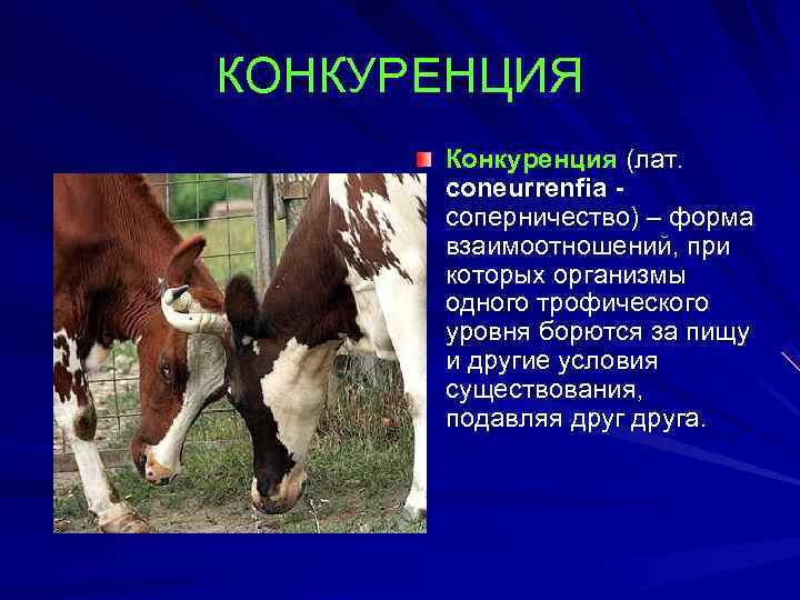 КОНКУРЕНЦИЯ  Конкуренция (лат.  coneurrenfia -  соперничество) – форма  взаимоотношений, при