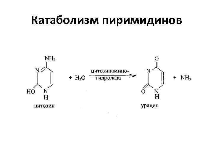 Схема катаболизма пиримидиновых нуклеотидов