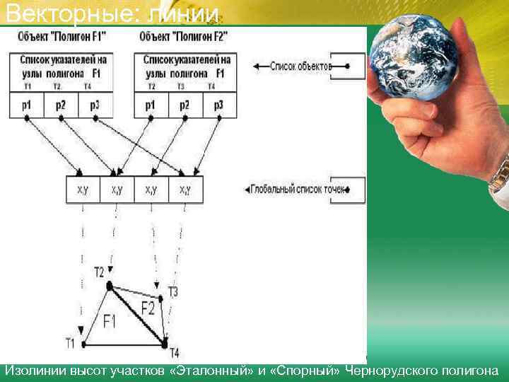 Векторные: линии Изолинии высот участков «Эталонный» и «Спорный» Чернорудского полигона 