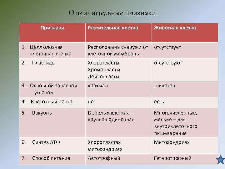 Отличительные признаки Признаки Растительная клетка Животная клетка Отличительные признаки Признаки Растительная клетка Животная клетка