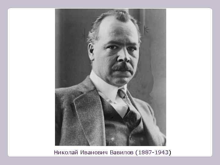 Николай Иванович Вавилов (1887 -1943) 