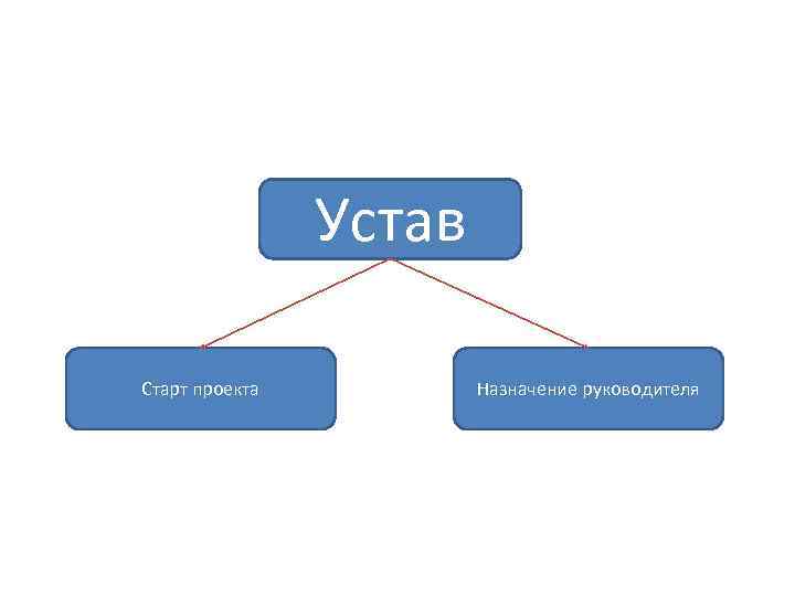 Назначение руководителя проекта