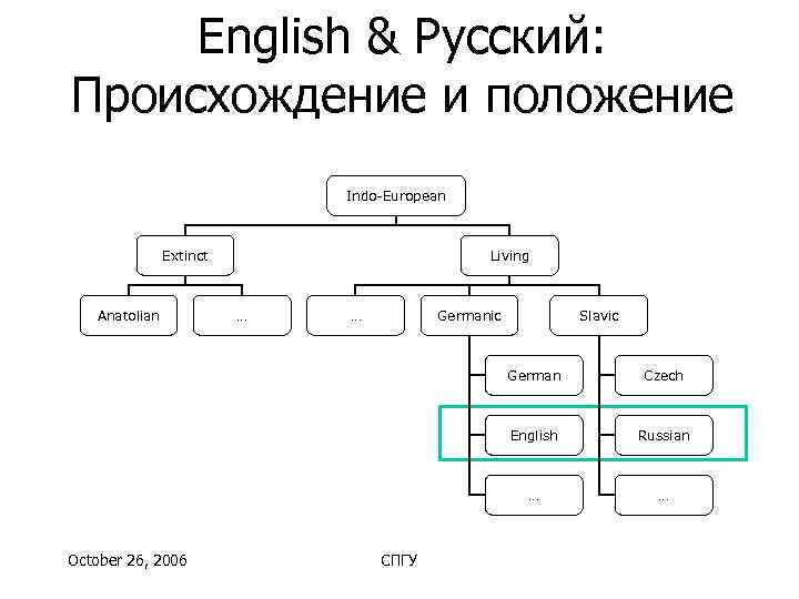  English & Русский: Происхождение и положение     Indo-European  