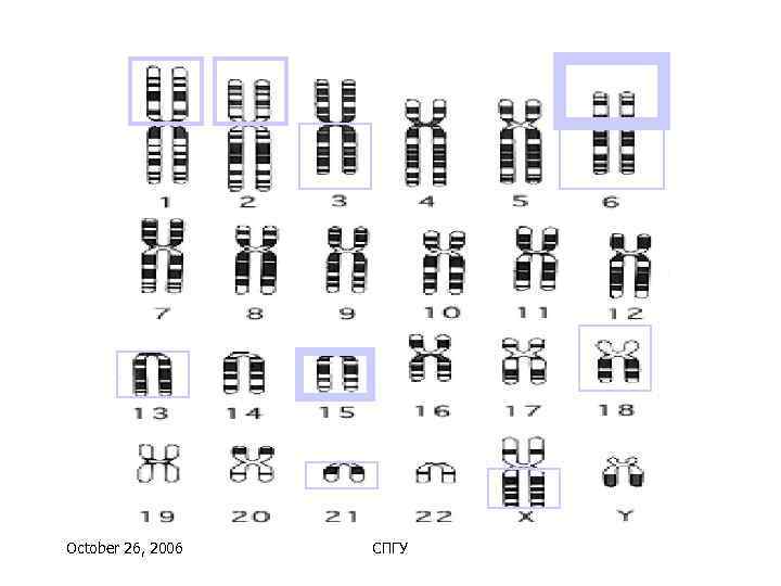 October 26, 2006  СПГУ 