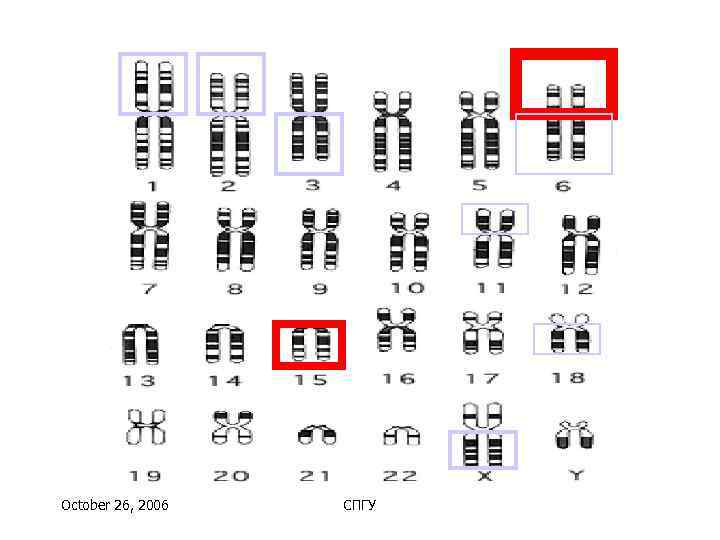 October 26, 2006  СПГУ 