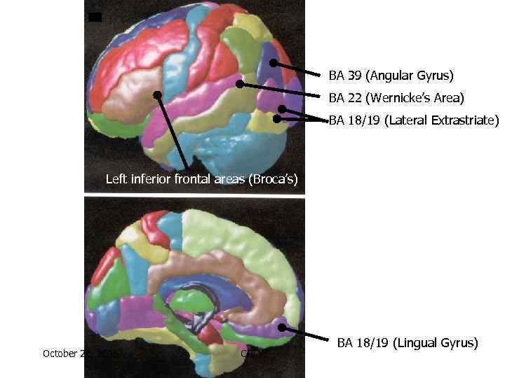      BA 39 (Angular Gyrus)     BA