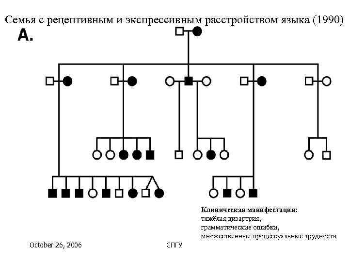 Семья с рецептивным и экспрессивным расстройством языка (1990)      