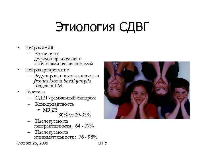     Этиология СДВГ •  Нейрохимия – Вовлечены   дофаминергическая