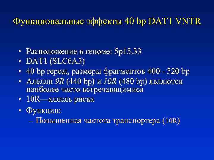 Функциональные эффекты 40 bp DAT 1 VNTR • Расположение в геноме: 5 p 15.