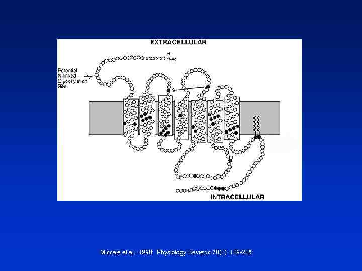 Missale et al. , 1998: Physiology Reviews 78(1): 189 -225 