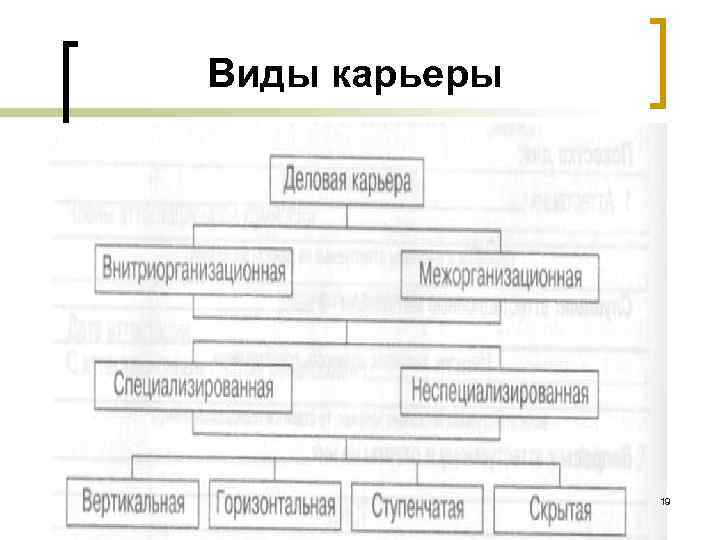 Виды карьеры    19 