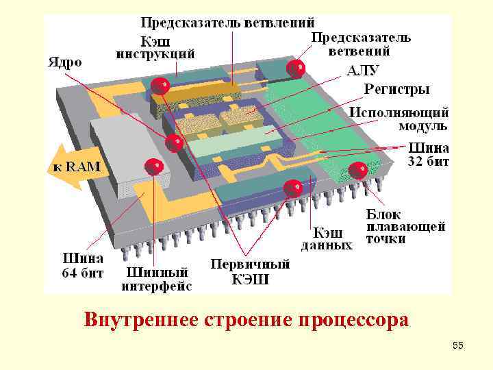Внутреннее строение процессора    55 