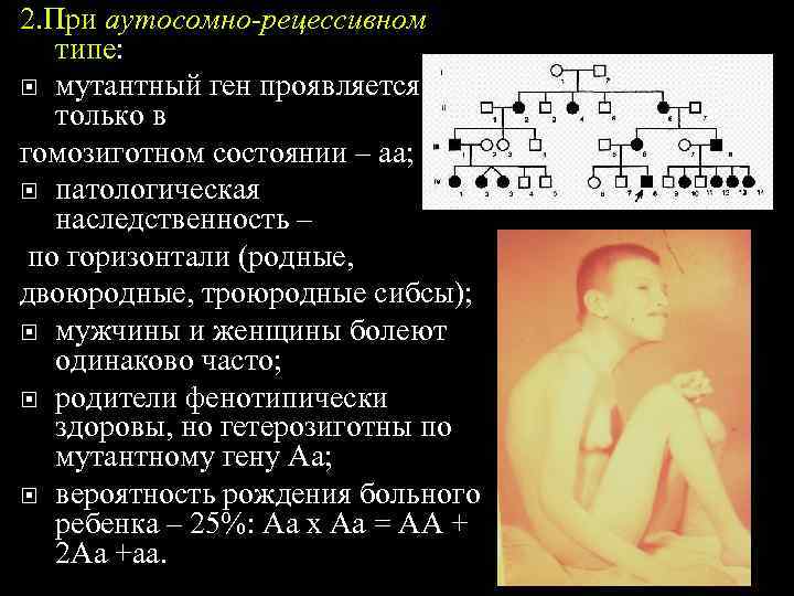2. При аутосомно-рецессивном  типе:  мутантный ген проявляется  только в гомозиготном состоянии