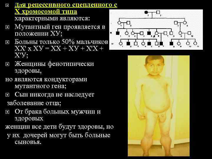   Для рецессивногосцепленного с  Х хромосомой типа  характерными являются:  Мутантный