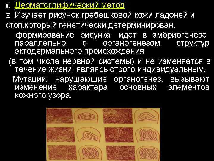 II. Дерматоглифический метод  Изучает рисунок гребешковой кожи ладоней и стоп, который генетически детерминирован.