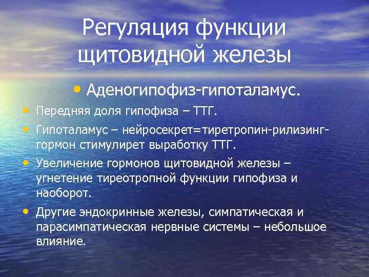    Регуляция функции  щитовидной железы  • Аденогипофиз-гипоталамус.  • Передняя
