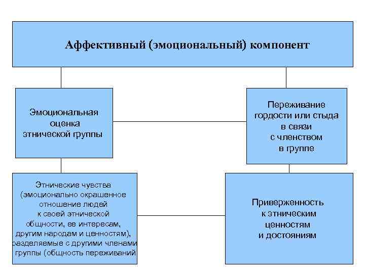 Аффективный (эмоциональный) компонент Эмоциональная оценка этнической группы Этнические чувства (эмоционально окрашенное отношение людей к