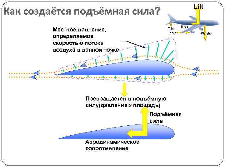 Подъемная сила крыла