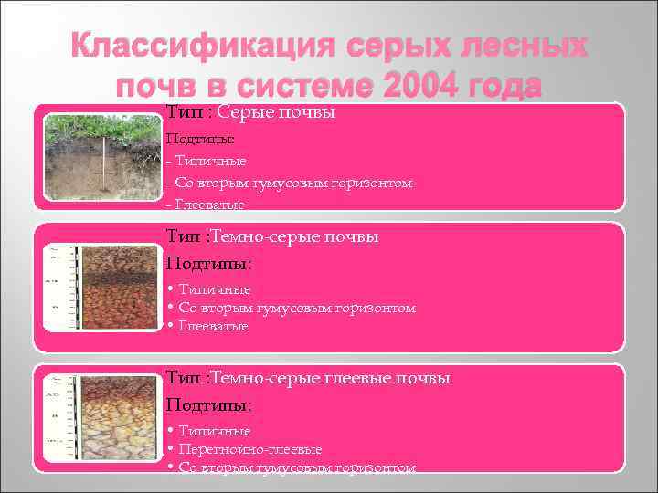 Классификация серых лесных почв в системе 2004 года Тип : Серые почвы Подтипы: Классификация серых лесных почв в системе 2004 года Тип : Серые почвы Подтипы: