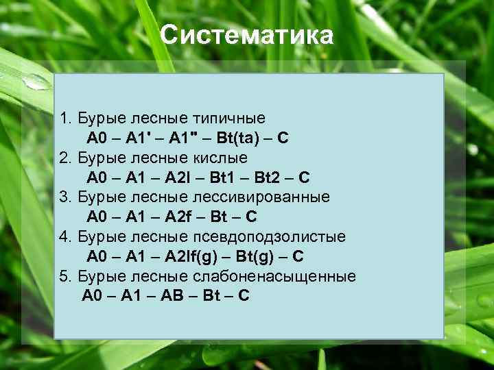 Систематика 1. Бурые лесные типичные А 0 – А 1' – А 1" –