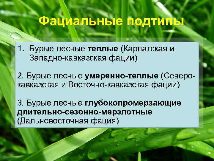 Фациальные подтипы 1. Бурые лесные теплые (Карпатская и Западно-кавказская фации) 2. Бурые лесные умеренно-теплые