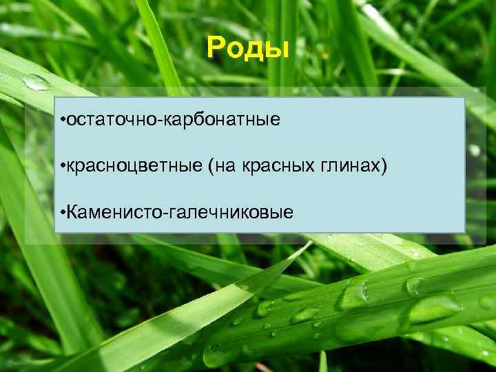 Роды • остаточно-карбонатные • красноцветные (на красных глинах) • Каменисто-галечниковые 