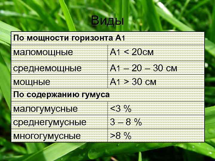 Виды По мощности горизонта А 1 маломощные А 1 < 20 см среднемощные А