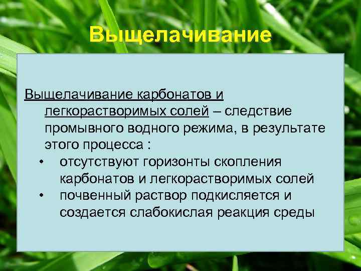 Выщелачивание карбонатов и легкорастворимых солей – следствие промывного водного режима, в результате этого процесса