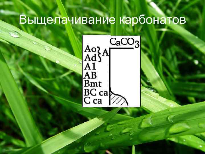 Выщелачивание карбонатов 