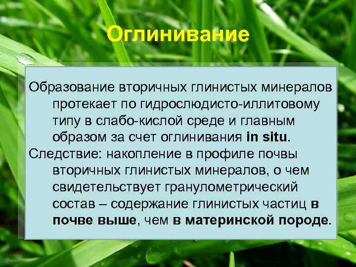 Оглинивание Образование вторичных глинистых минералов протекает по гидрослюдисто-иллитовому типу в слабо-кислой среде и главным