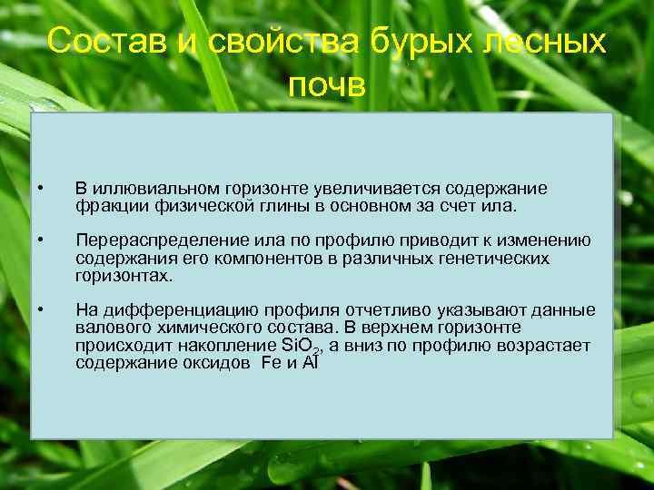 Состав и свойства бурых лесных почв • В иллювиальном горизонте увеличивается содержание фракции физической