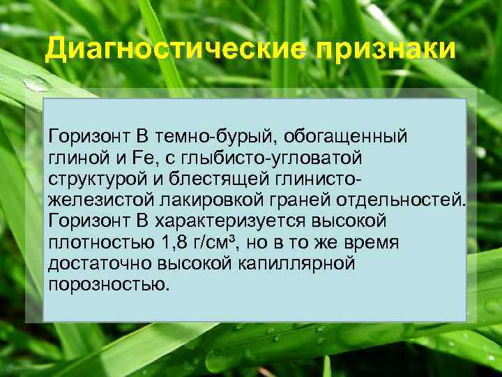 Диагностические признаки Горизонт В темно-бурый, обогащенный глиной и Fe, с глыбисто-угловатой структурой и блестящей